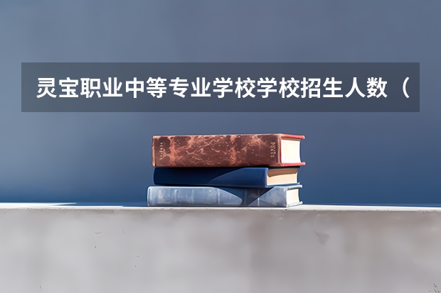 灵宝职业中等专业学校学校招生人数（招生简章）