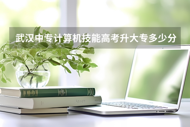 武汉中专计算机技能高考升大专多少分