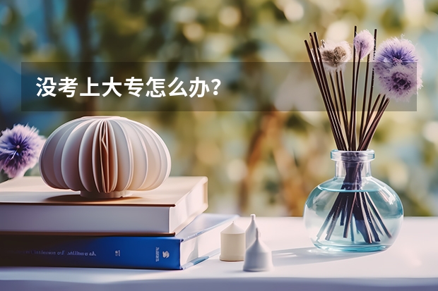 没考上大专怎么办?