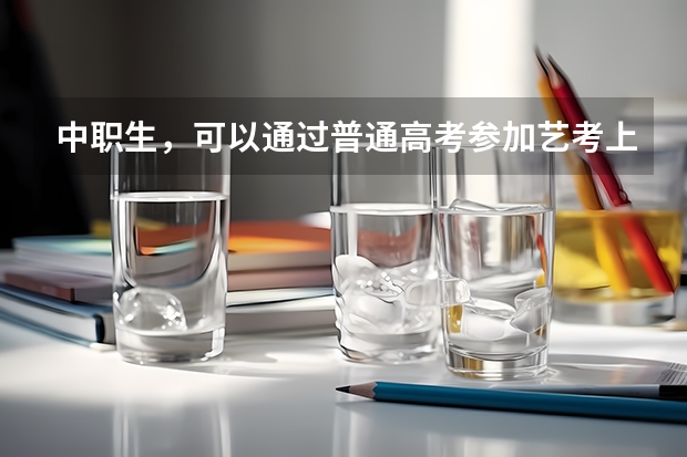 中职生,可以通过普通高考参加艺考上本科吗