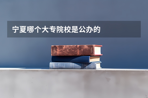 宁夏哪个大专院校是公办的