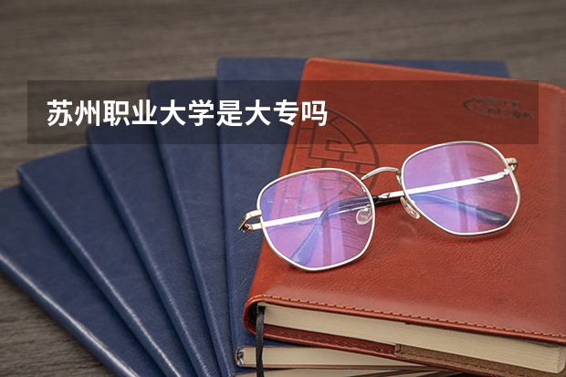苏州职业大学是大专吗