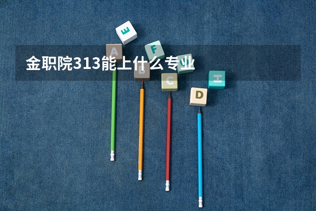 金职院313能上什么专业