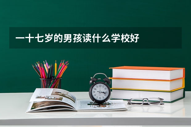 一十七岁的男孩读什么学校好