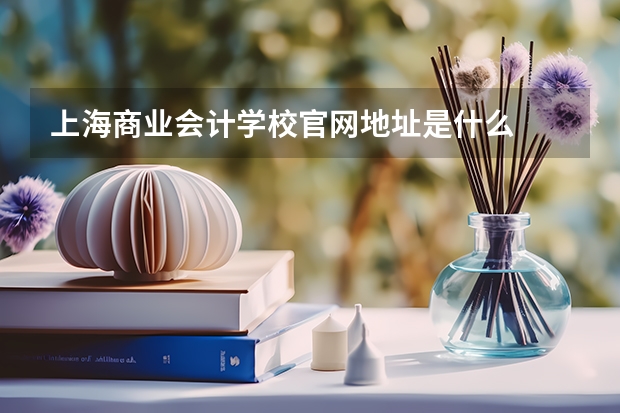上海商业会计学校官网地址是什么